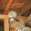 UNDER STRUCTURE CLEANING