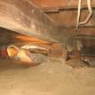 UNDER STRUCTURE CLEANING